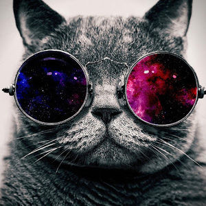 Meet your Posher, Halima